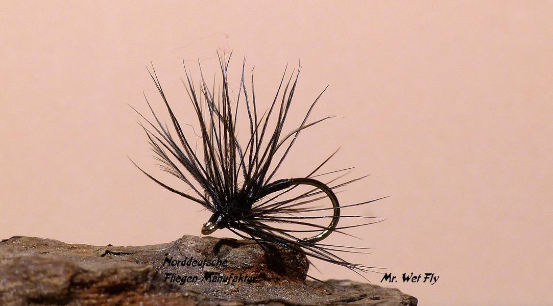 Spider Variationen 0191.JPG