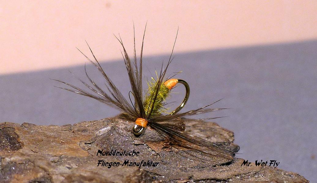 Spider Variationen 0201.JPG