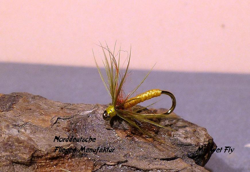 Spider Variationen 0221.JPG