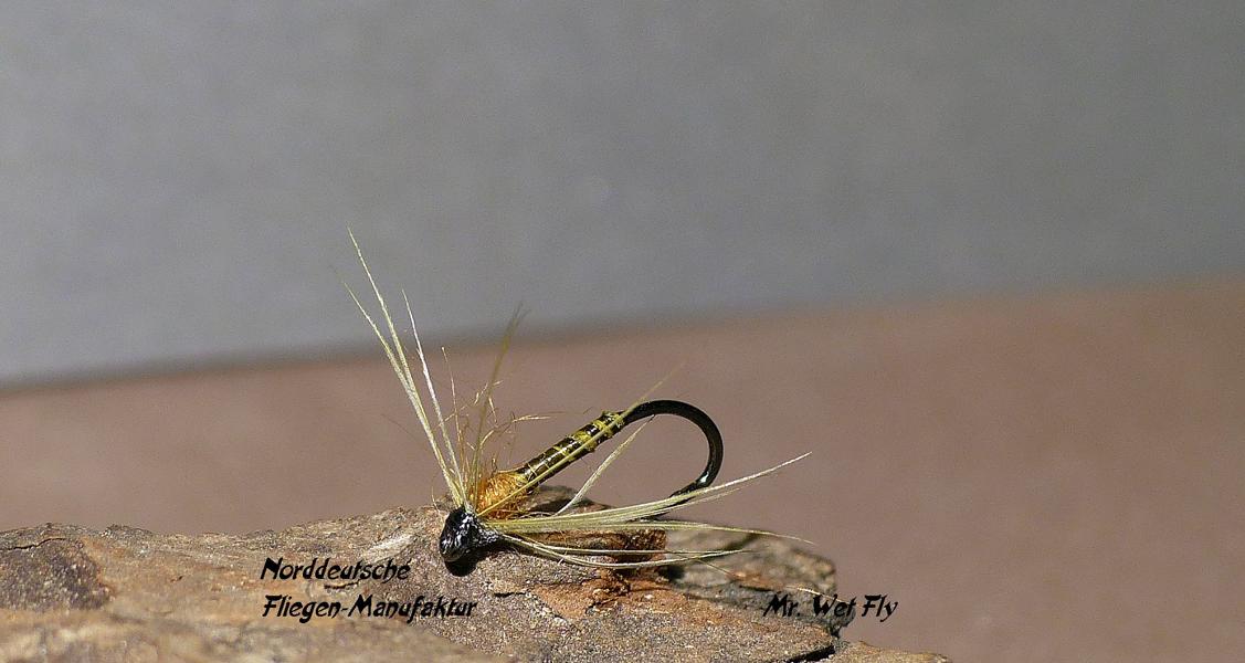 Spider Variationen 0231.JPG