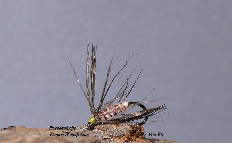 Spider Variationen 0241.JPG