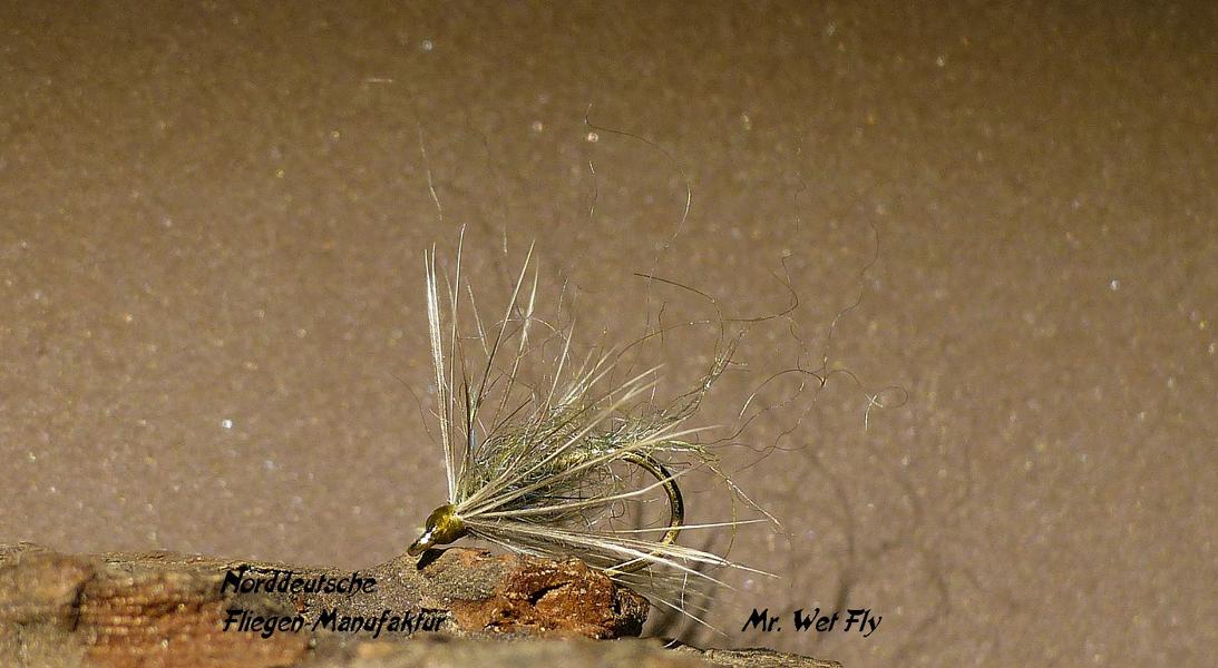 Flymph Variationen 0131.JPG