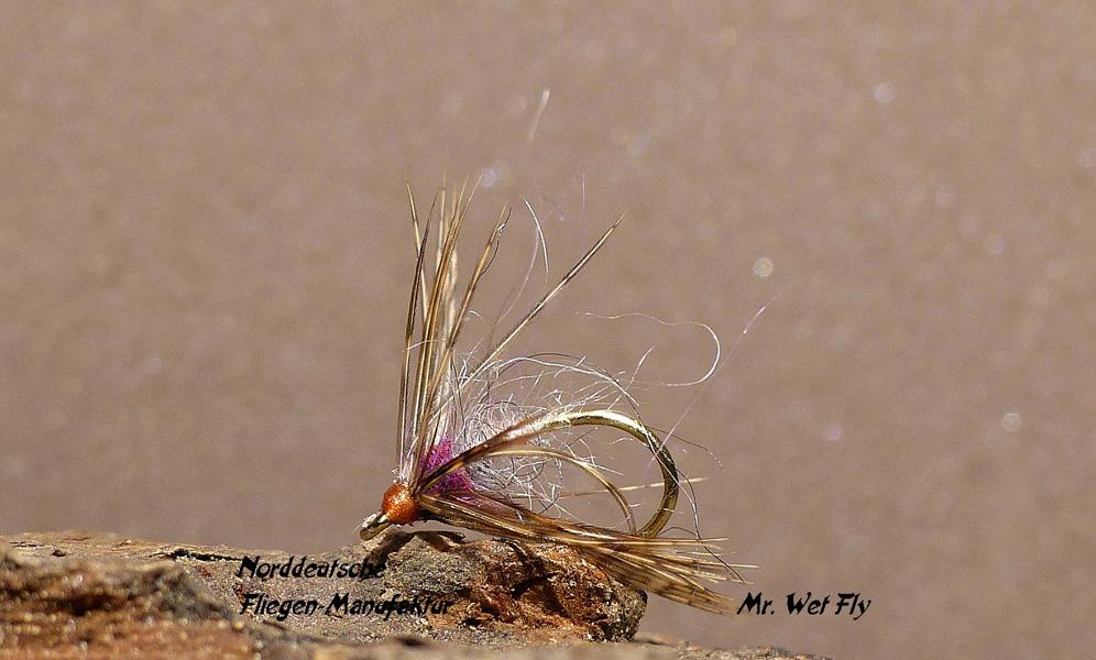 Flymph Variationen 0151.JPG