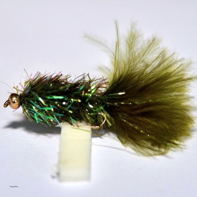 GoldHeadFritzFly