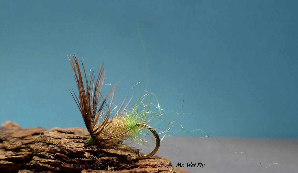 Soft Hackle Variationen 0391.JPG