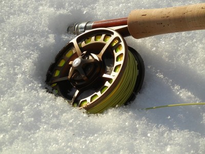 Sage 4250 & Rio Gold FF.jpg