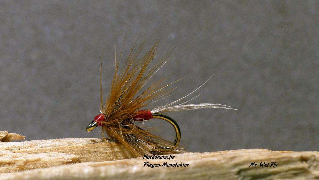 February Red Flymph #16 0101.JPG