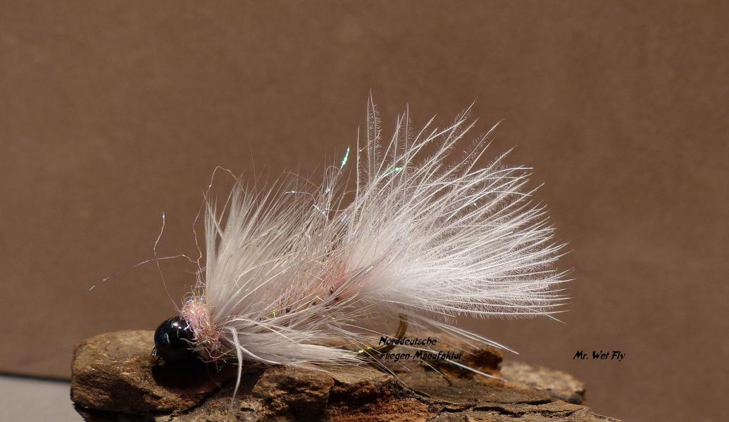 Bugger Variationen 0191.JPG