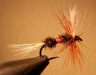 Meine erste Royal Wulff