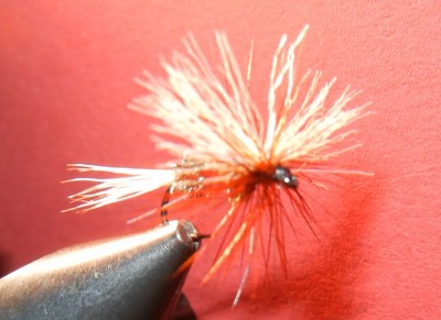 Vorderansicht vom 2. Versuch