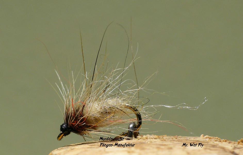 Projekt #16 0101.JPG