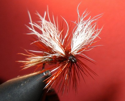 Royal Wulff klassisch 2 FF.jpg