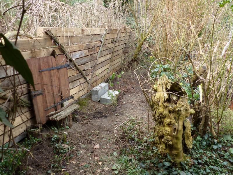 Sichtschutz März 2019 017.JPG