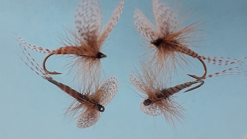 k-20190417_135513.jpg