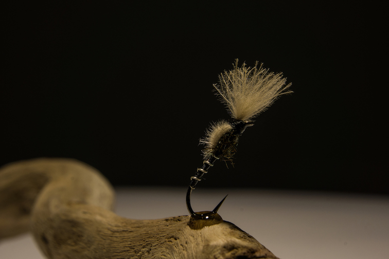 20190415-DSC06336.jpg