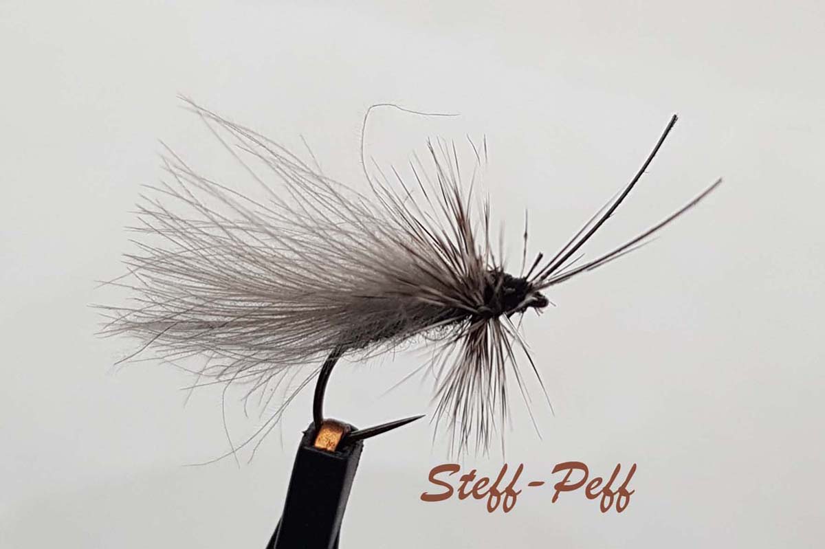 20190518_190713 Kopie.jpg