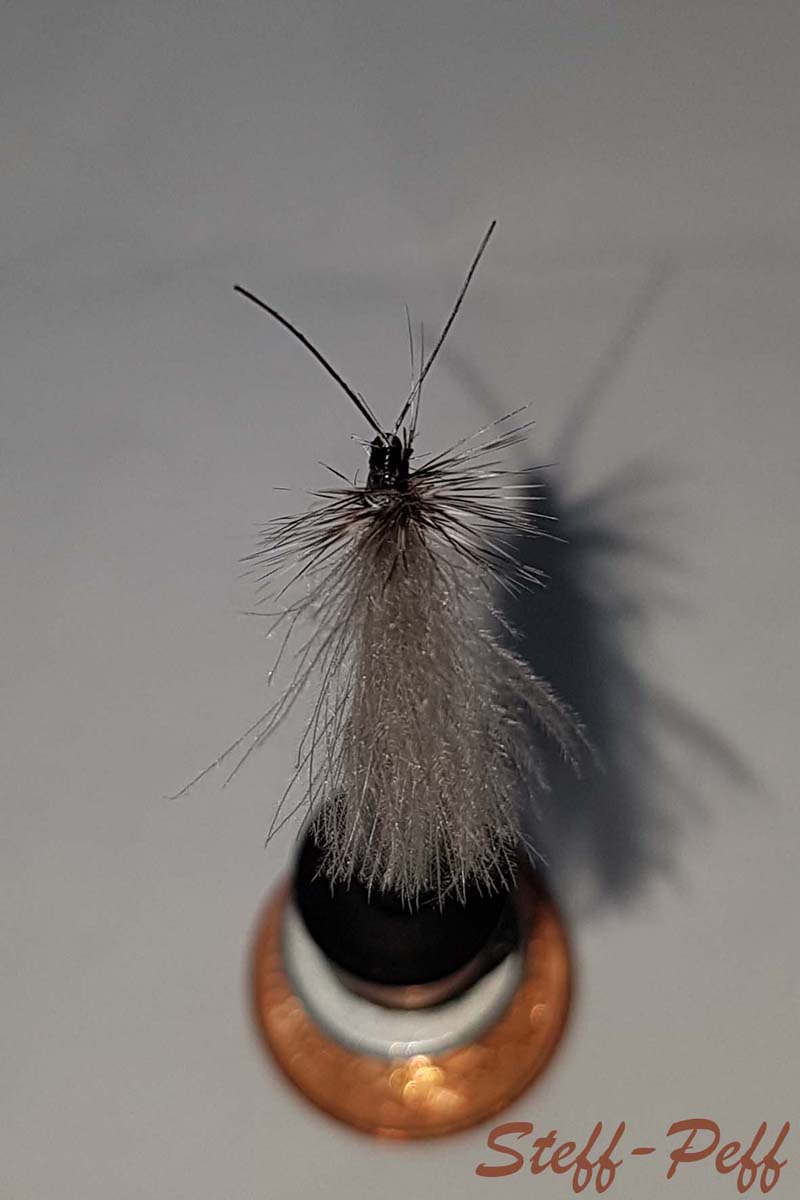 20190518_190633 Kopie.jpg