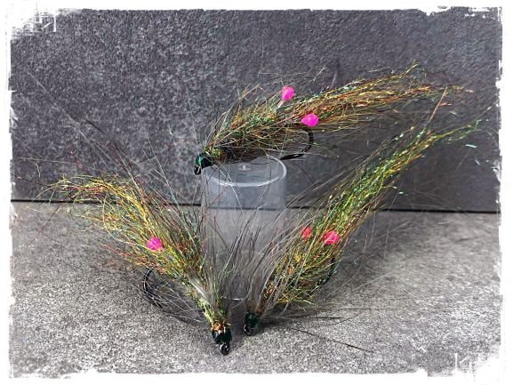 Rainbow Shrimp.JPG