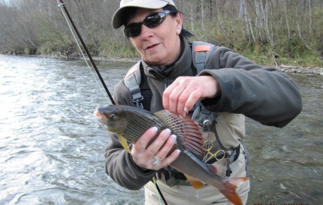 Schön, das es SIE gibt....