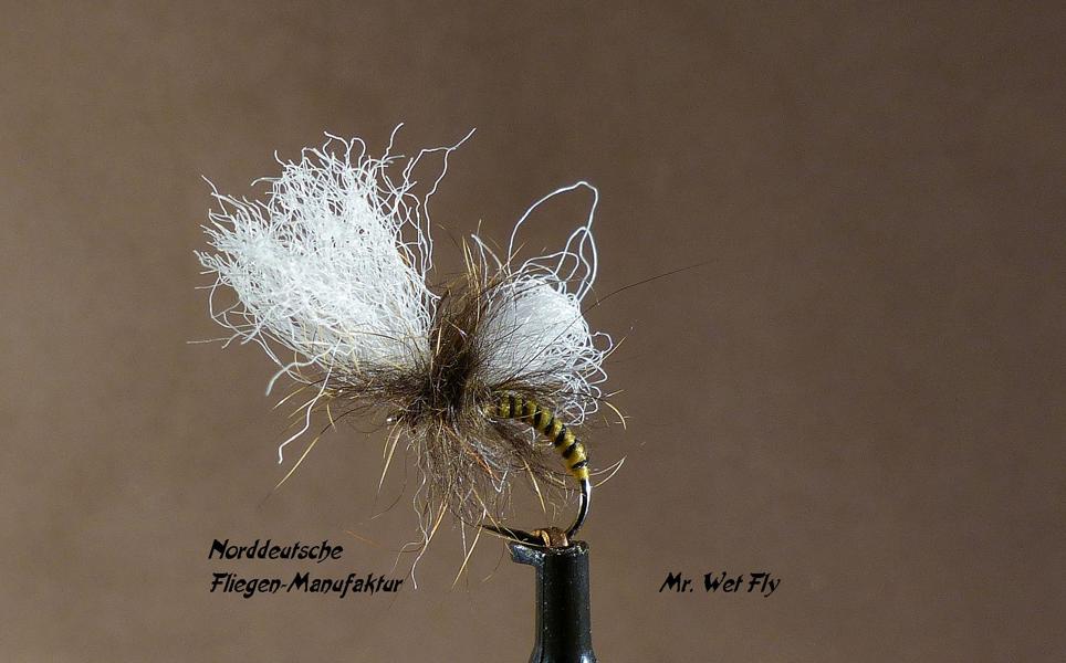 Emerger Variationen 0041.JPG