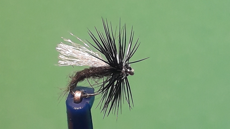 k-20191214_131934.jpg