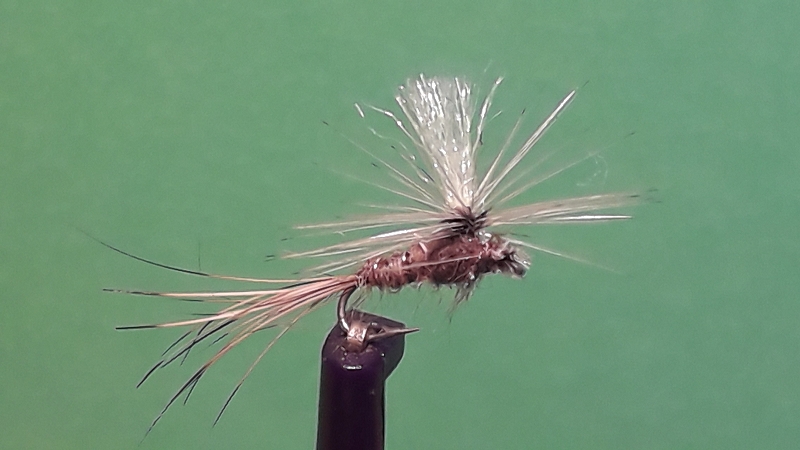 k-20191214_124755.jpg