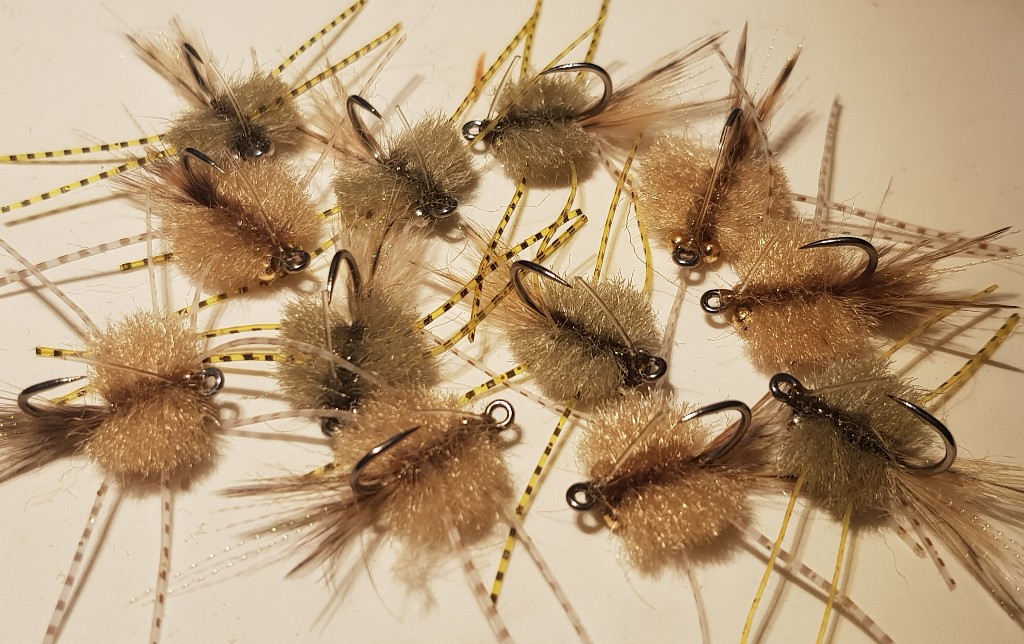 20191225_194449-1024x644.jpg