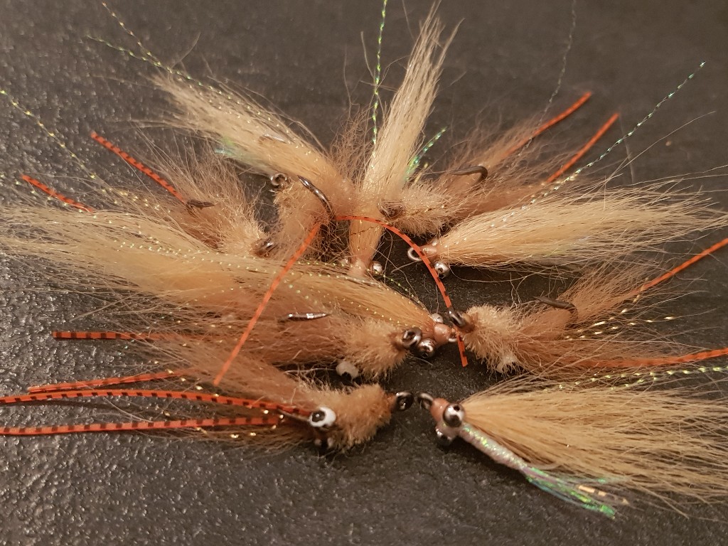 20191226_170838-1024x768.jpg