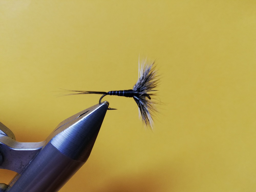 Devaux - 1000 Pixel.jpg