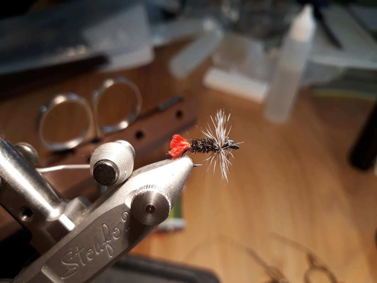 Hexe richtig 14b.jpg