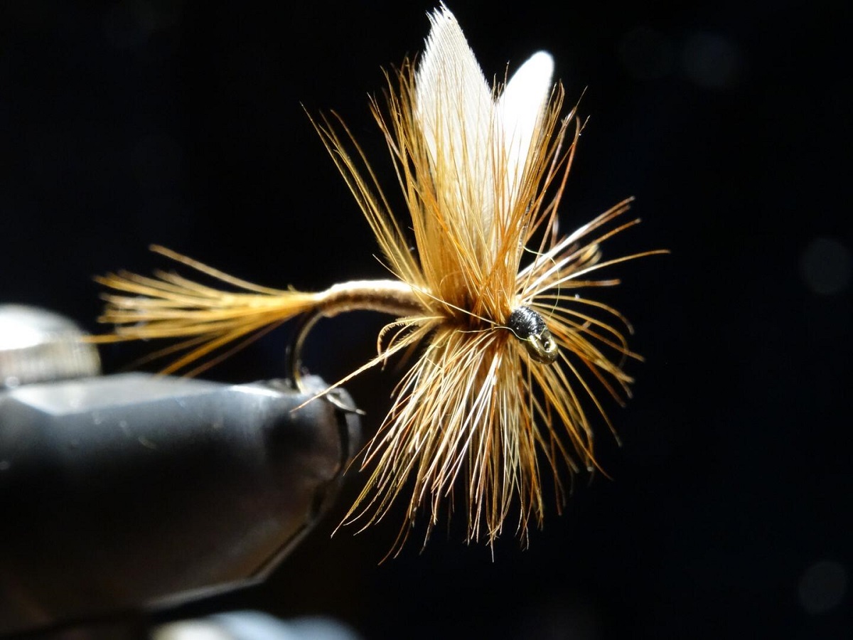 Stammtisch 11.01 (3).jpg