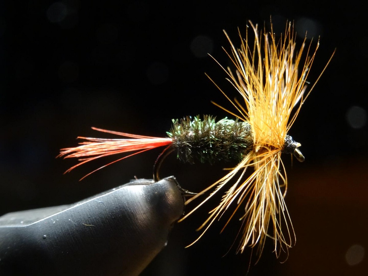 Stammtisch 11.01 (4).jpg