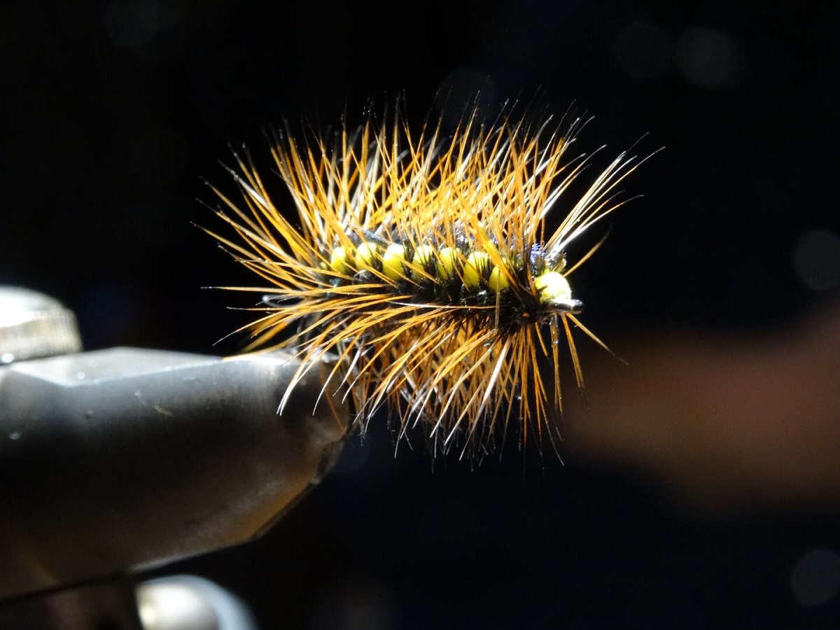 Stammtisch 11.01 (5).jpg