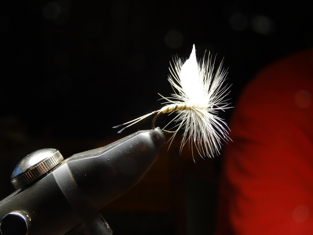 Stammtisch 11.01 (10).jpg