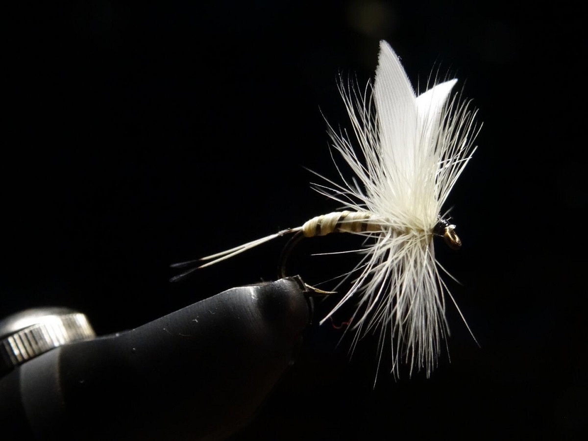 Stammtisch 11.01 (15).jpg