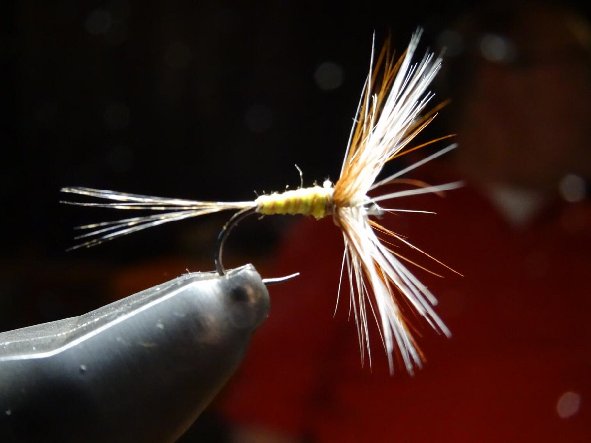 Stammtisch 11.01 (16).jpg