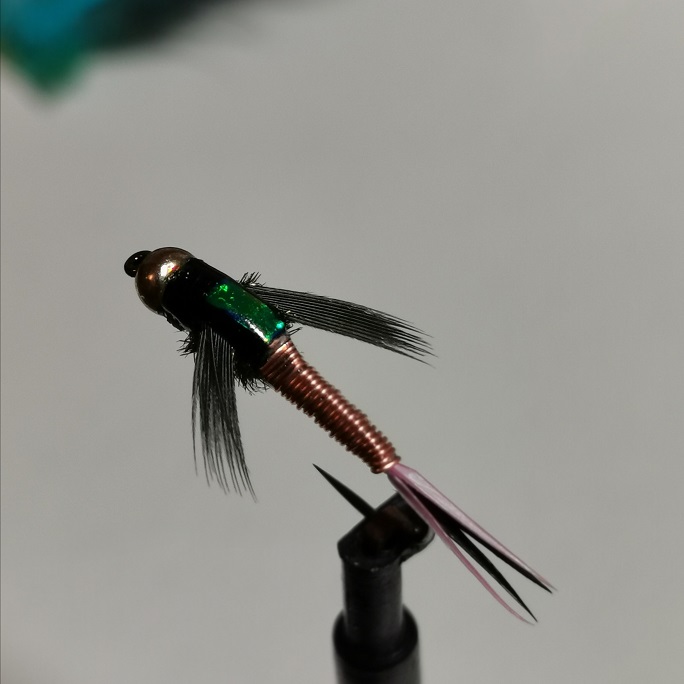 IMG_20200203_200542.jpg
