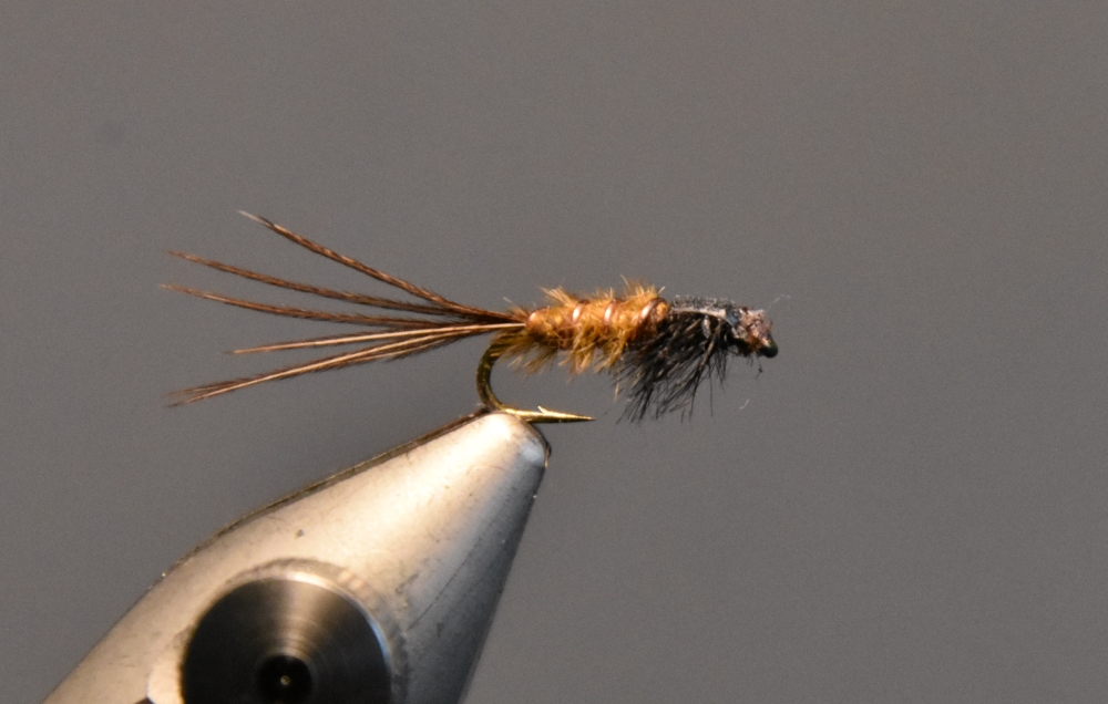 Nymphe Strauss braun 16.jpg