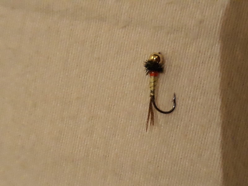 20200210_000300_resize_95.jpg