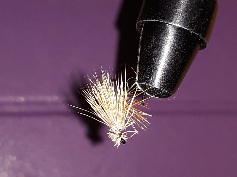 20200210_155620_resize_38.jpg