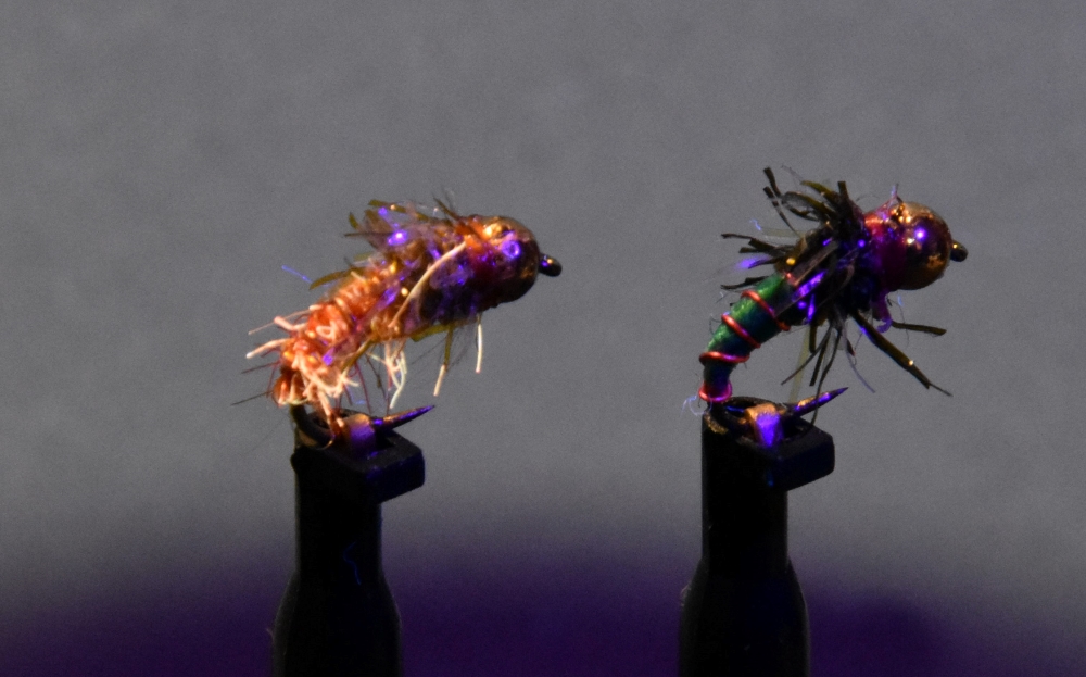 Nymphen 14 UV.jpg
