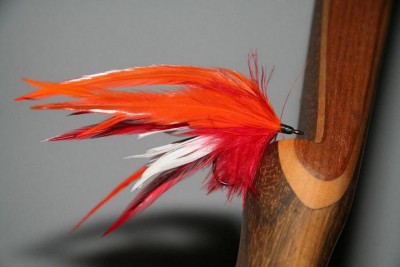 K640_K800_K1600_Stremer 002.JPG