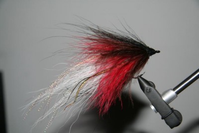 K640_Stremer2 004.JPG