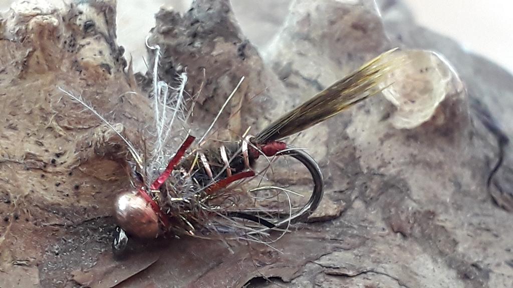 k-20200323_142923.jpg