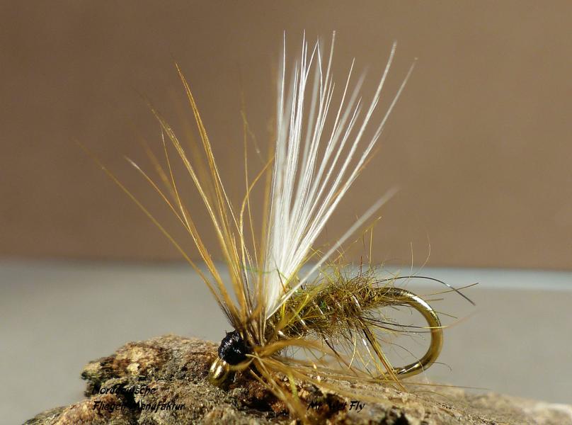 Emerger Variationen 0061.JPG