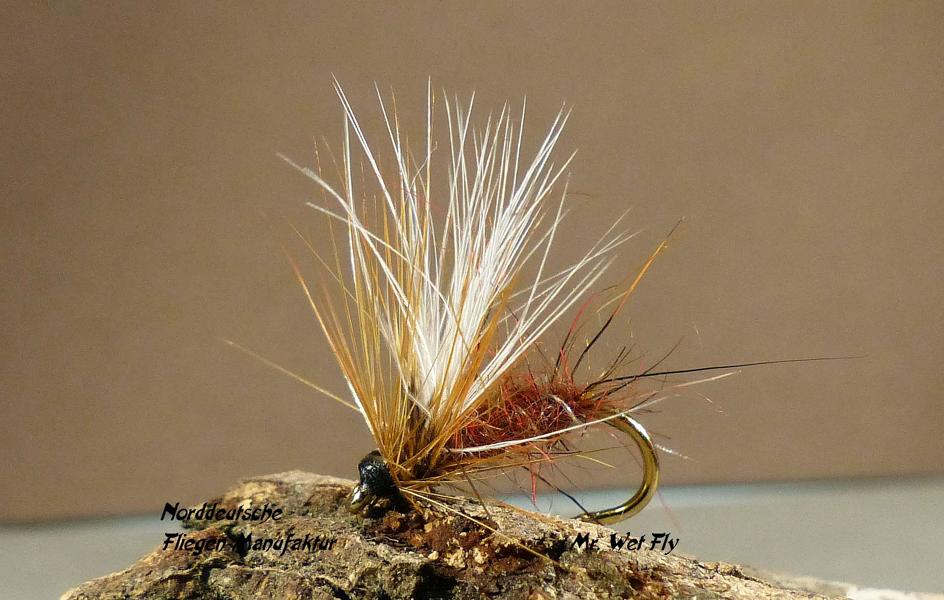 Emerger Variationen 0071.JPG