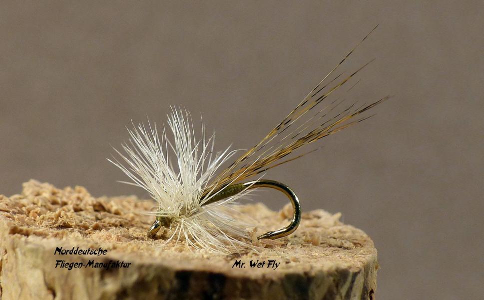 Projekt #16 0491.JPG